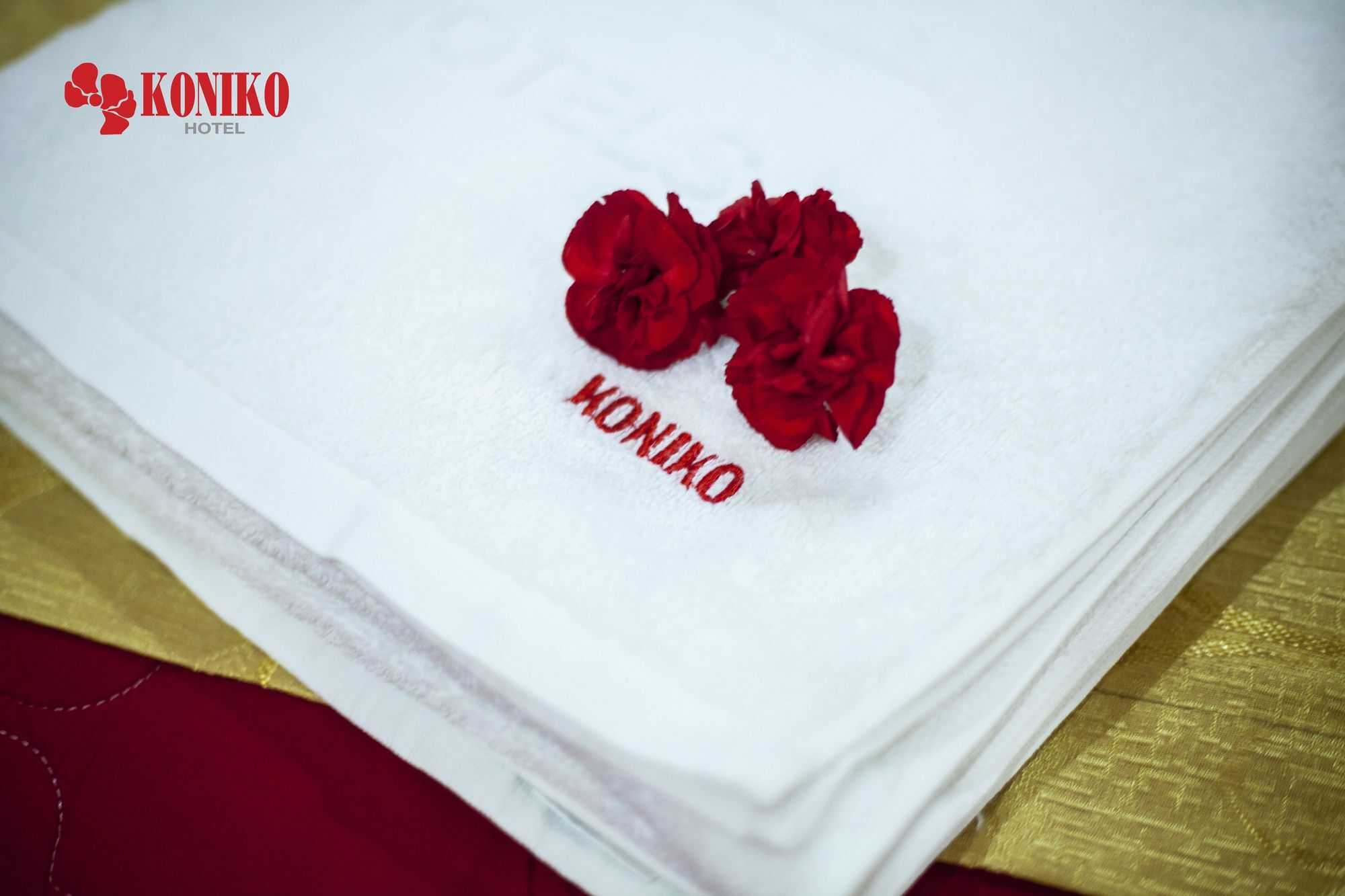 Khách sạn Koniko TP. Hồ Chí Minh Ngoại thất bức ảnh